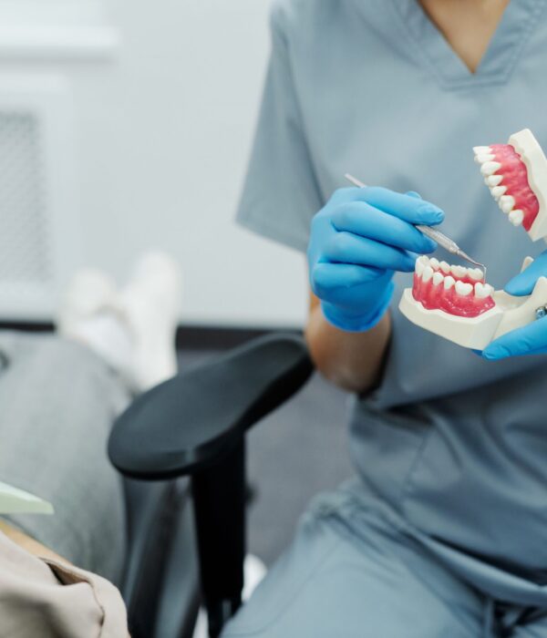 Dentist showing a patient a demonstration mouth