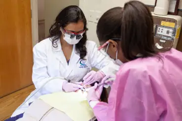 Dentist performing dental procedure